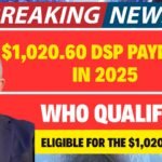 1020-60-dsp-payment-in-2025